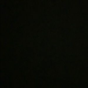 Meet your Posher, Tanner